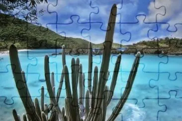 CACTUS Y MAR jigsaw puzzle
