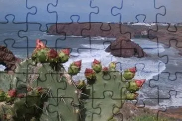 PAISAJE DEL SUR DE MARRUECOS jigsaw puzzle