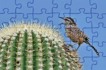 CACTUS Y PAJARO