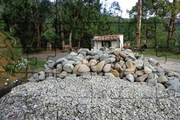 APTO DE CHIMA Y CHINO