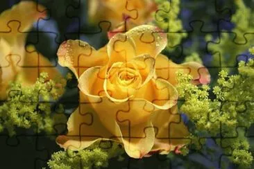 flores jigsaw puzzle