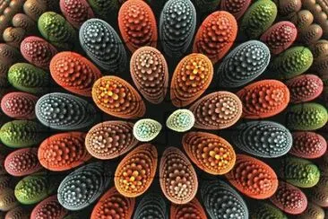 Fractal by Stacey Whaley