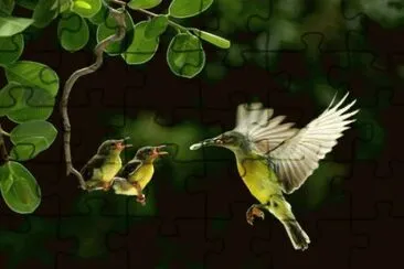 july23 jigsaw puzzle