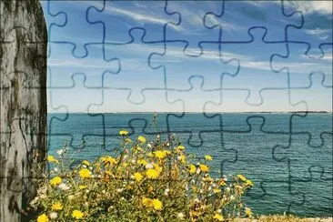 mar jigsaw puzzle