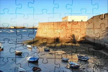 49 jigsaw puzzle