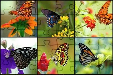 borboletas jigsaw puzzle