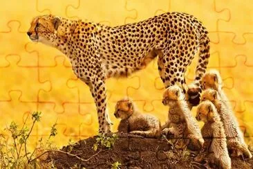 onÃ§a jigsaw puzzle