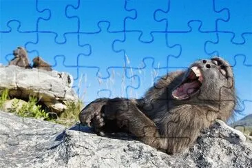 BABUBUIN SOÃ‘OLIENTO jigsaw puzzle