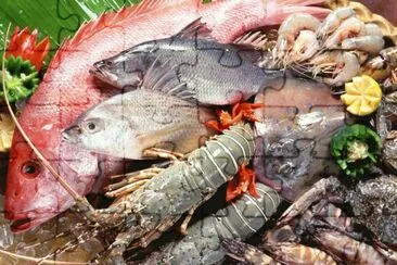 Fresh from the Sea  Manila jigsaw puzzle