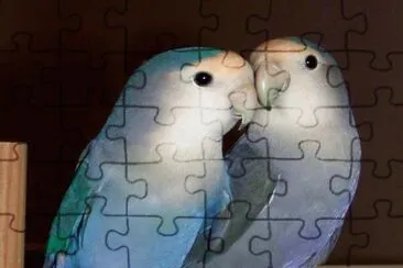 . jigsaw puzzle