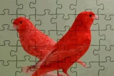 . jigsaw puzzle