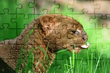 . jigsaw puzzle