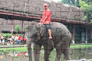 TRAVAIL DES ELEPHANTS
