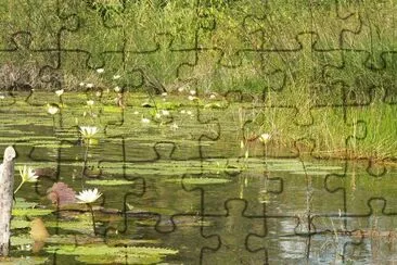 פאזל של le calme de la riviÃ¨re