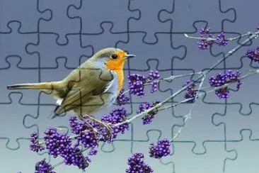 - beleza!,(o1) jigsaw puzzle