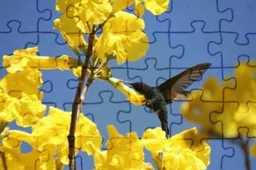 - beleza!,(o4) jigsaw puzzle