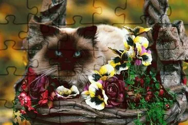 GATICO jigsaw puzzle