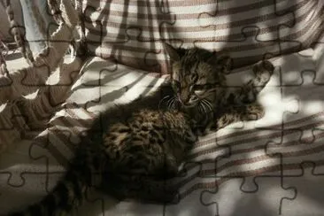 mia jigsaw puzzle