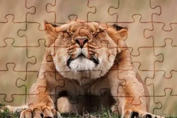 grgrgrgrgrg jigsaw puzzle