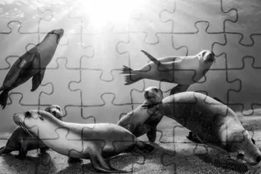 dancing jigsaw puzzle