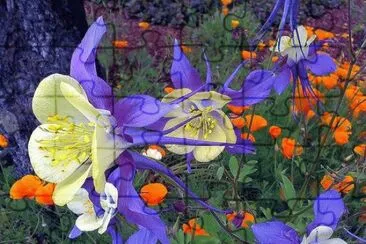Columbines and Poppies jigsaw puzzle