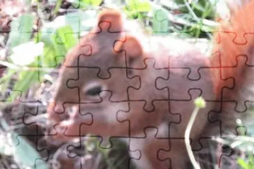 So cute! jigsaw puzzle