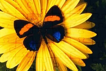 Johana 12345 jigsaw puzzle