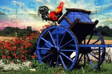 gallo
