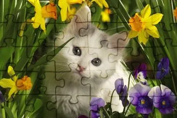 gatet jigsaw puzzle