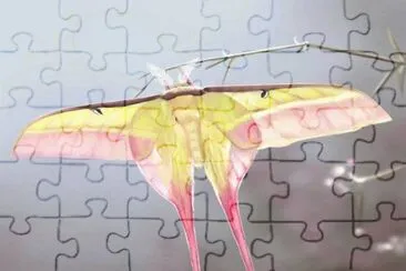 . jigsaw puzzle