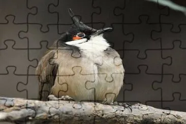. jigsaw puzzle