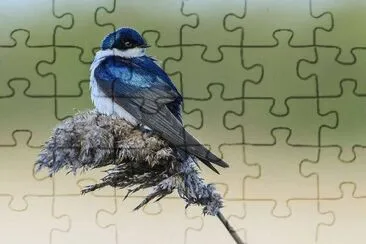 . jigsaw puzzle