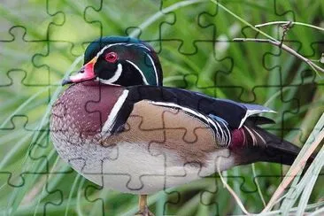 . jigsaw puzzle
