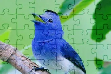 . jigsaw puzzle