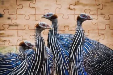 . jigsaw puzzle