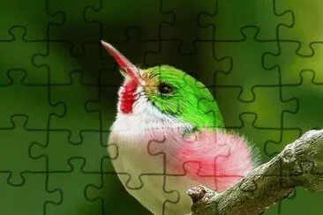. jigsaw puzzle