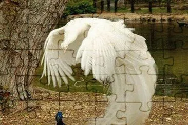 . jigsaw puzzle