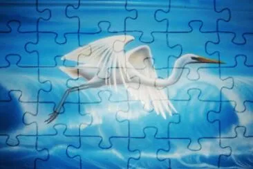 Bird above the Waves by Tony Reyman