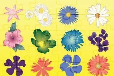 Flores
