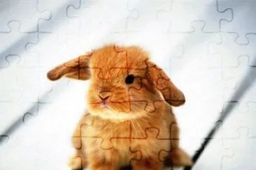 august2 jigsaw puzzle
