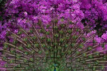 Amazing picture