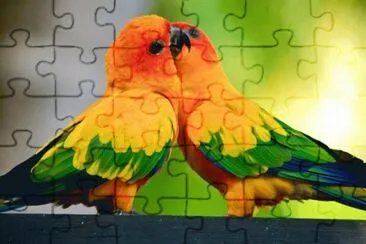 oiseaux jigsaw puzzle