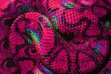 serpent