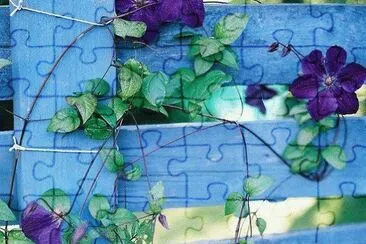206 jigsaw puzzle