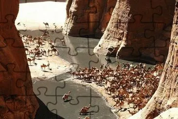 - chade,(africa). jigsaw puzzle