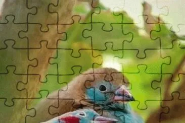 - familia,(1) jigsaw puzzle