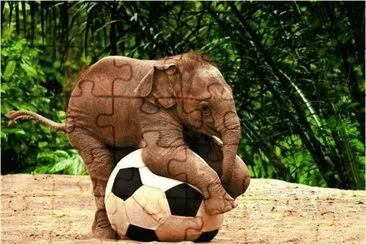 Playing with a ball