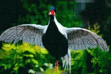 . jigsaw puzzle