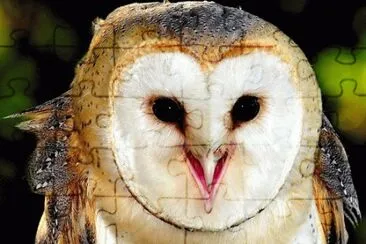 . jigsaw puzzle