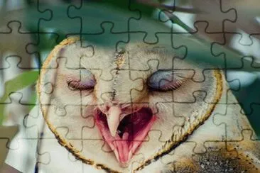 . jigsaw puzzle